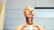 Kursy maturalne online z biologii
