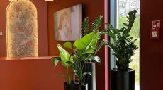 Tworzenie oaz zieleni w biurach: Zrewolucjonizuj każdą przestrzeń komercyjną